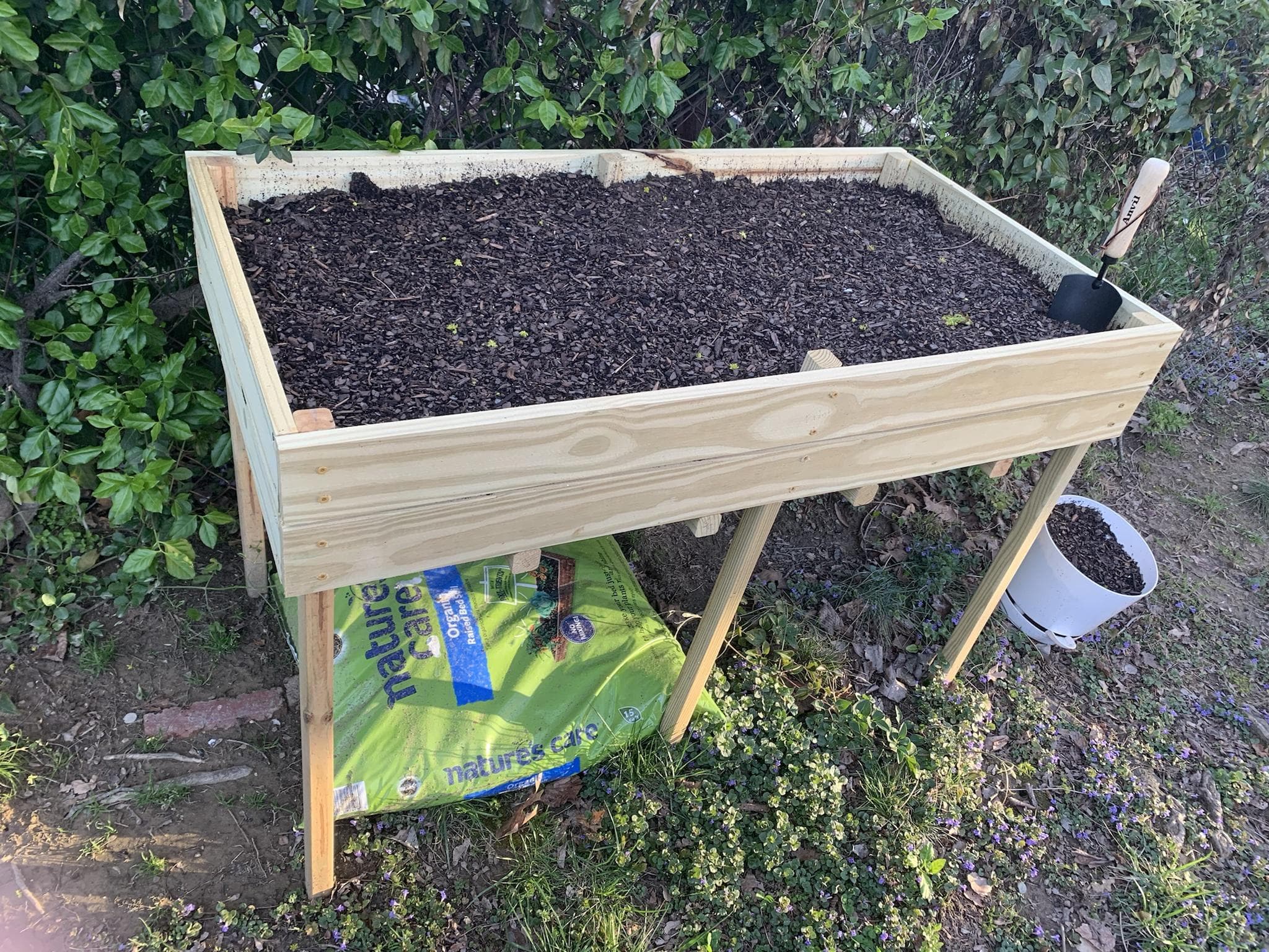 Garden Box